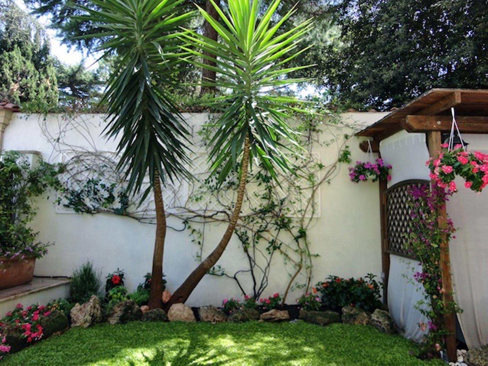 B&B Ai 2 Papi Rome Exterior photo